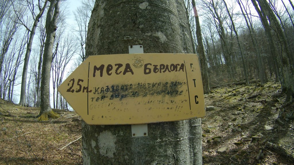 photo17.jpg