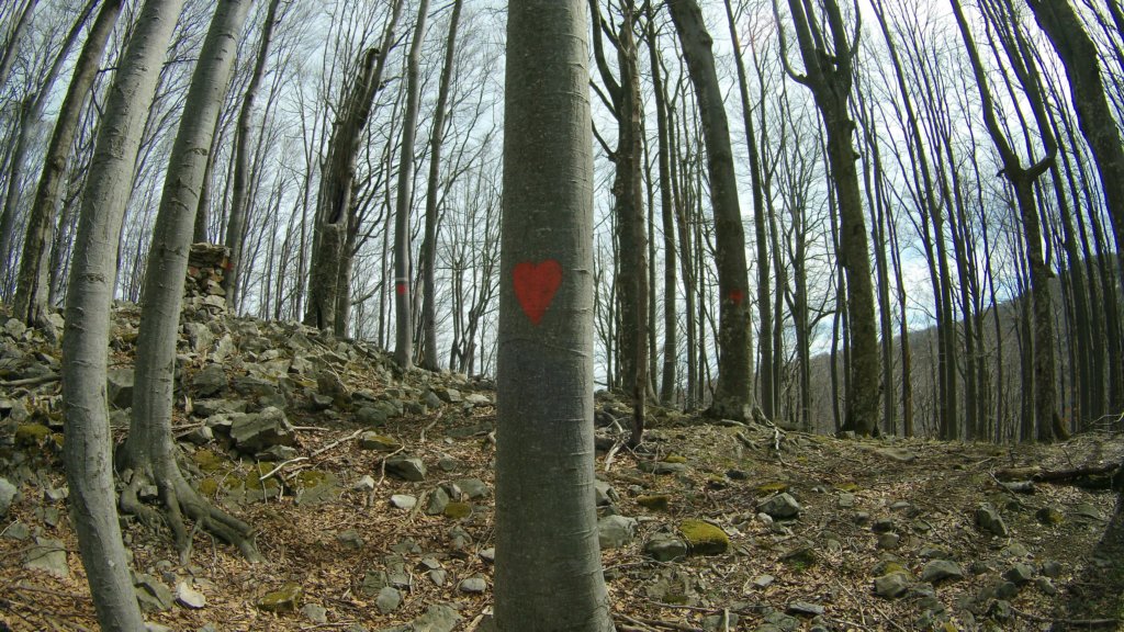 photo23.jpg