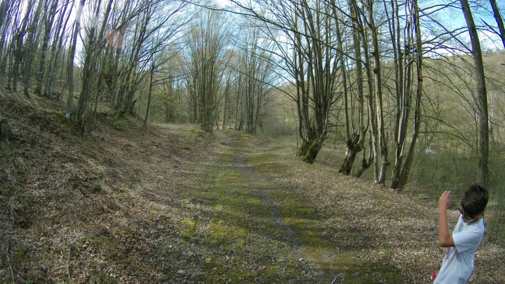 photo3.jpg