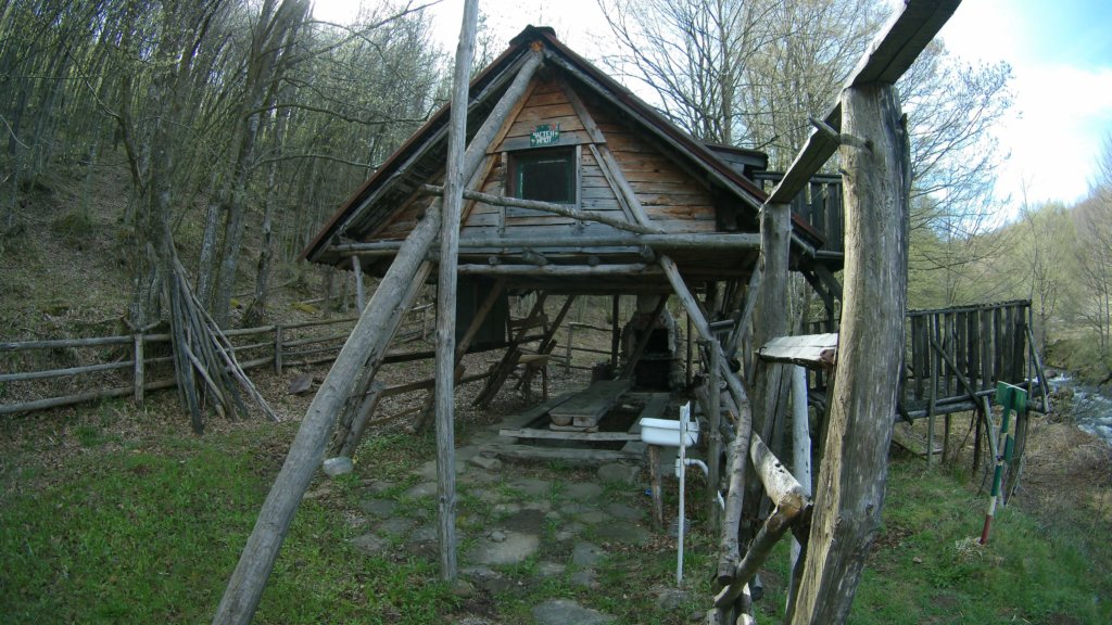 photo4.jpg