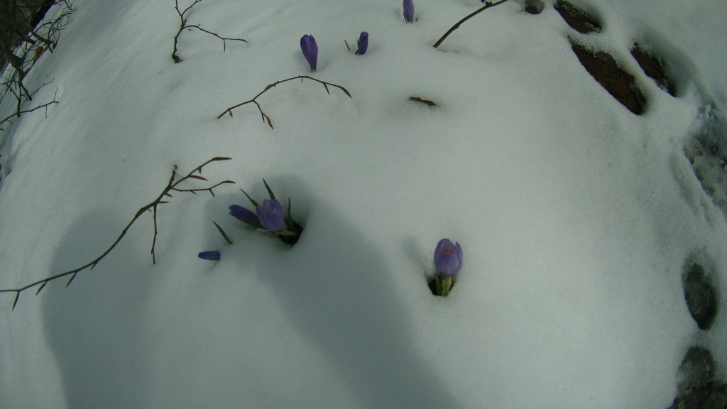 photo41.jpg