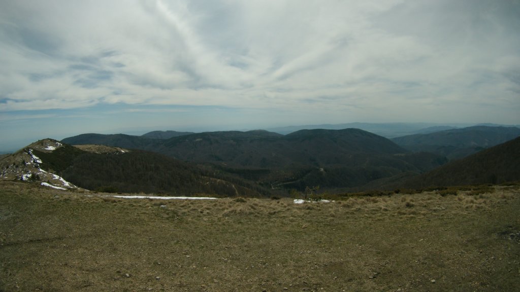 photo47.jpg