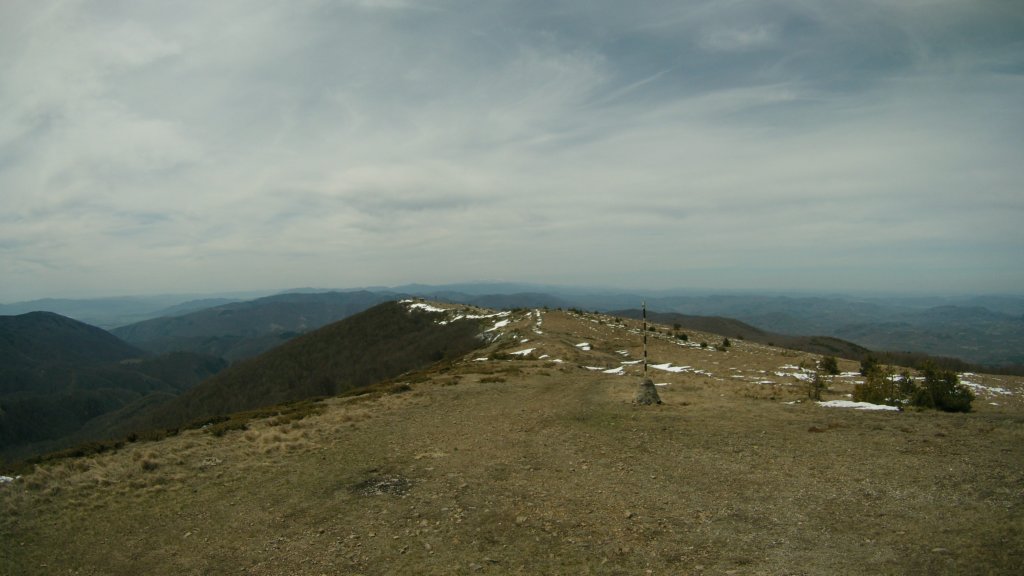 photo48.jpg