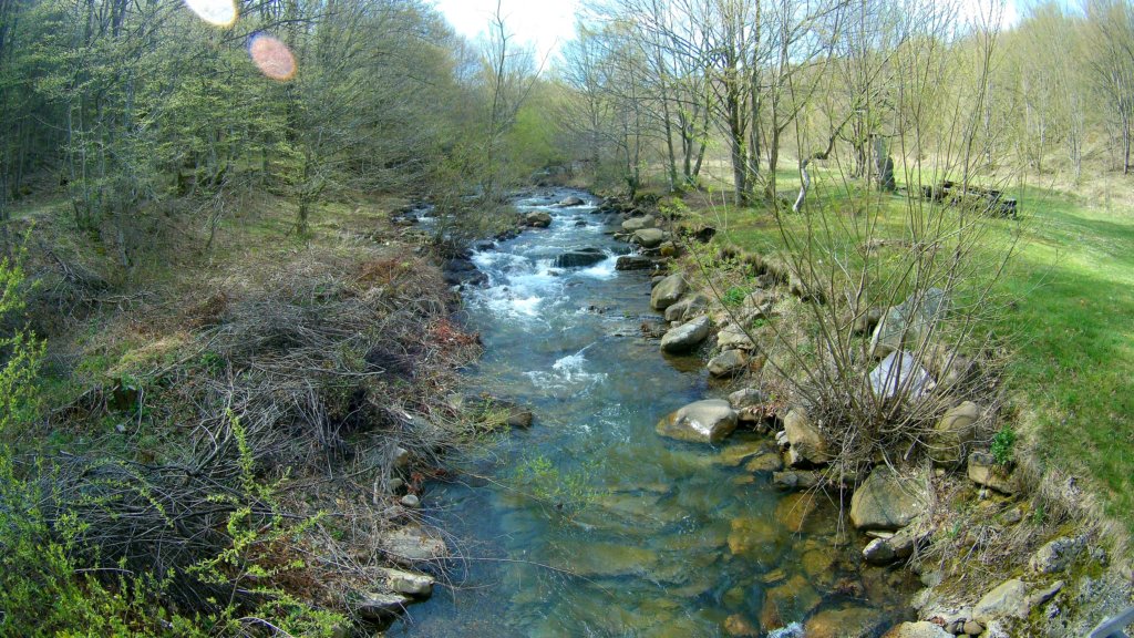 photo5.jpg