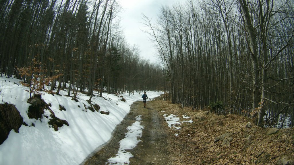 photo55.jpg