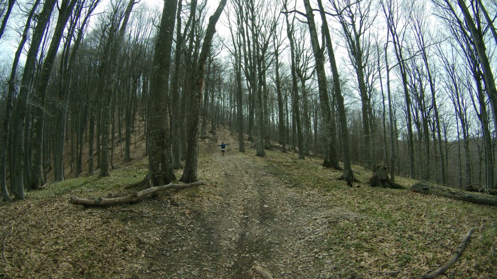 photo56.jpg