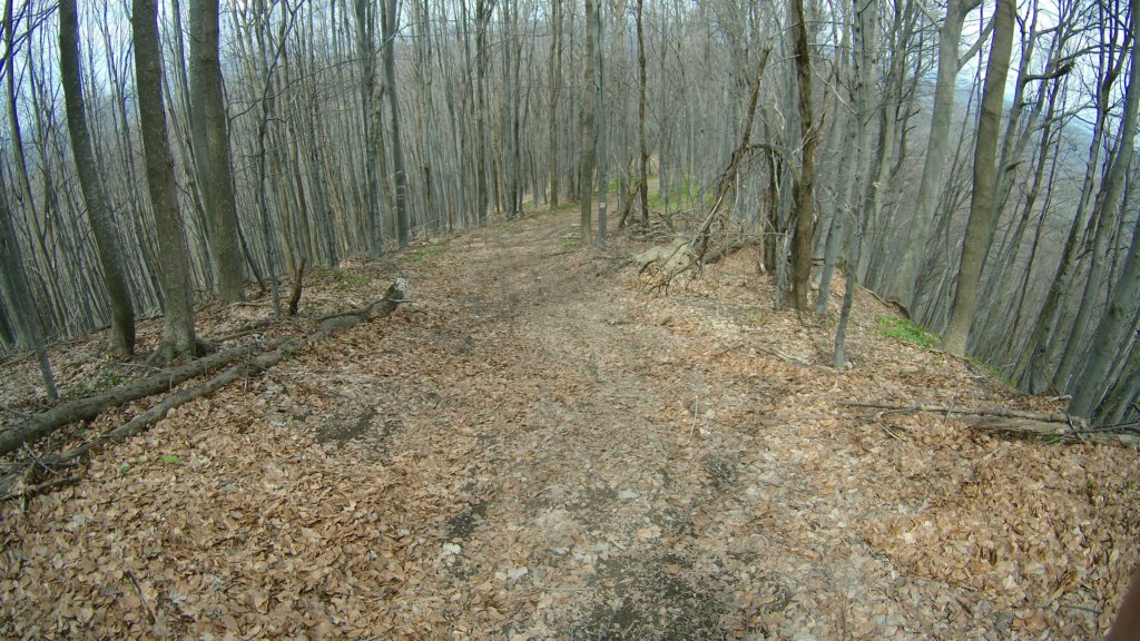 photo58.jpg