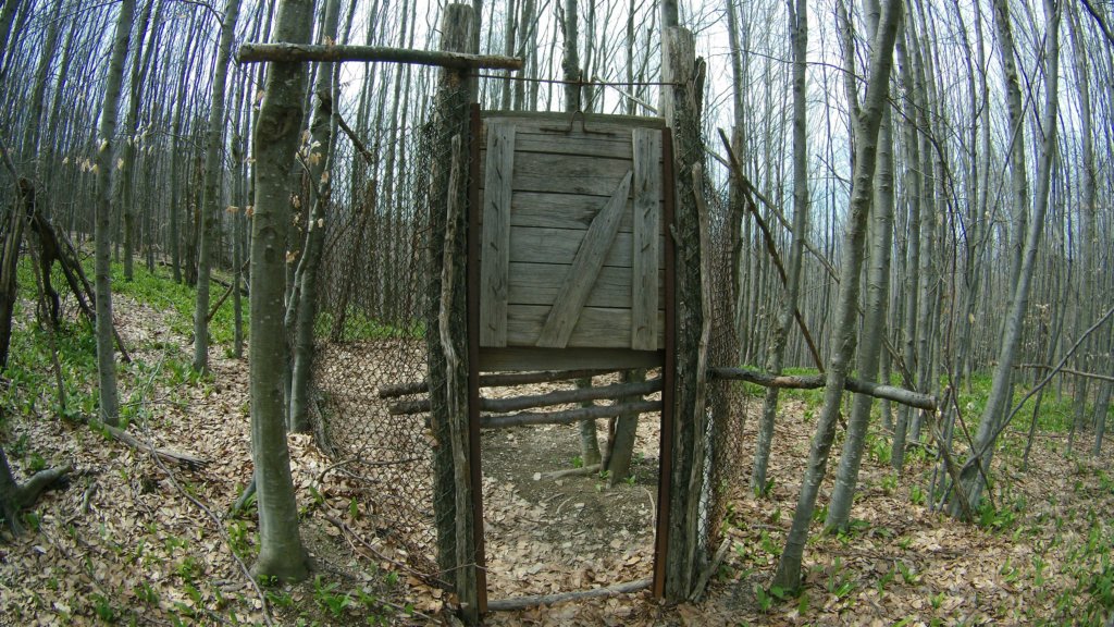 photo59.jpg