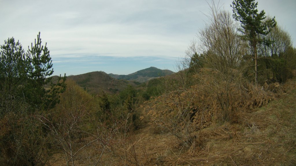 photo65.jpg