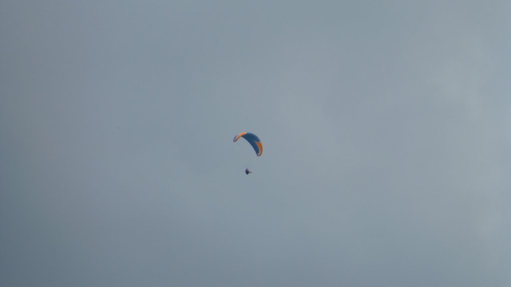 photo21.jpg