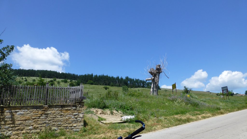 photo13.jpg