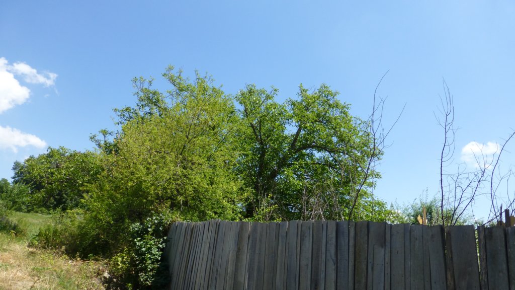 photo23.jpg