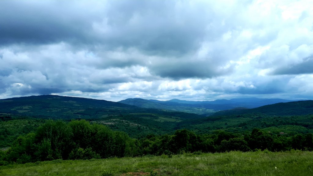 photo13.jpg