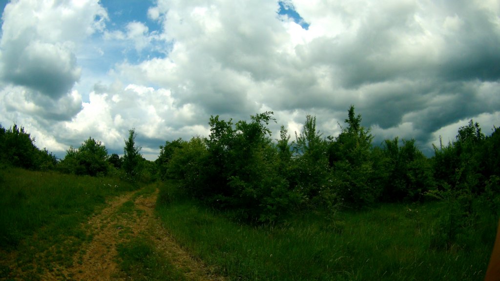 photo20.jpg
