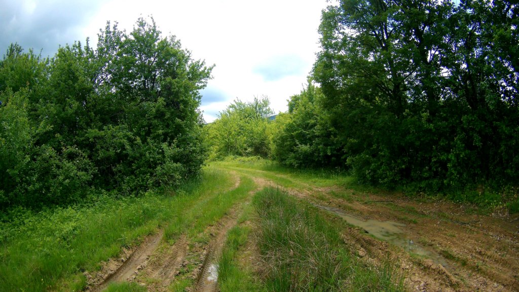 photo21.jpg