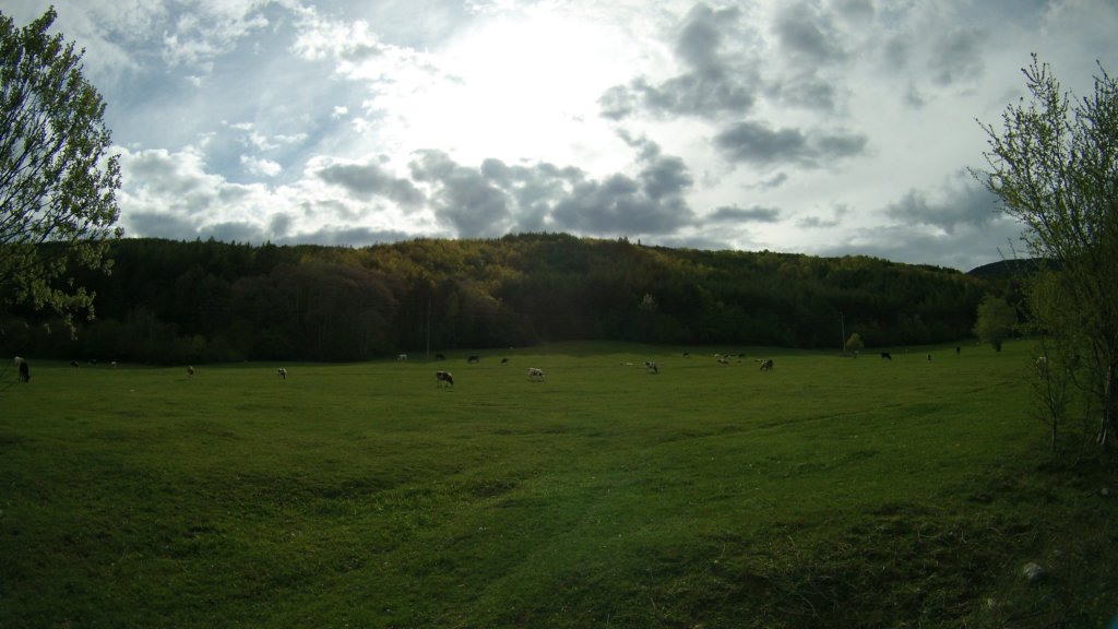 photo113.jpg