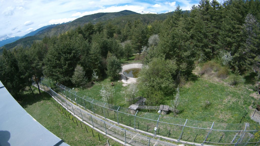 photo21.jpg