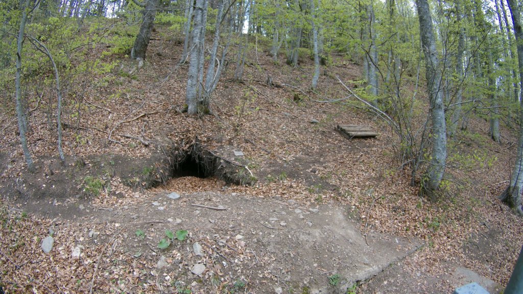 photo35.jpg