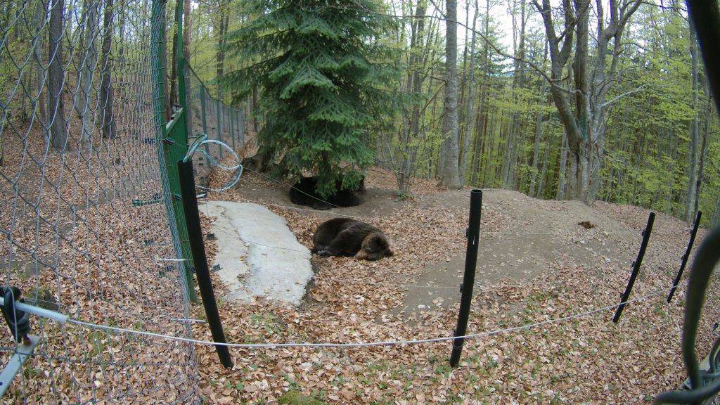 photo36.jpg