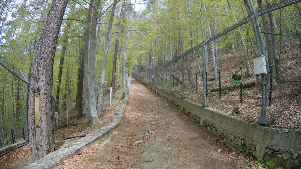 photo45.jpg