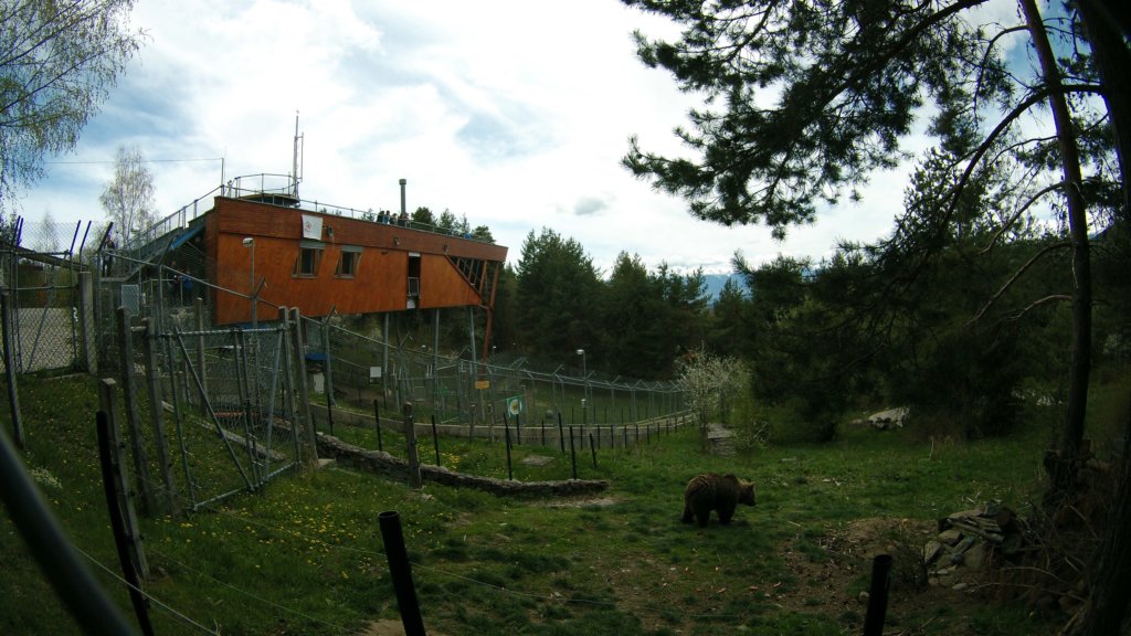photo50.jpg