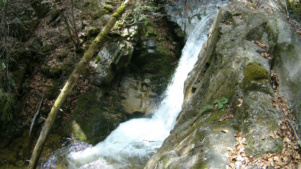 photo76.jpg