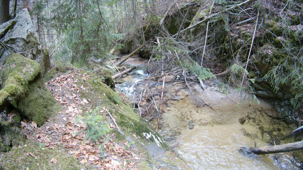 photo77.jpg