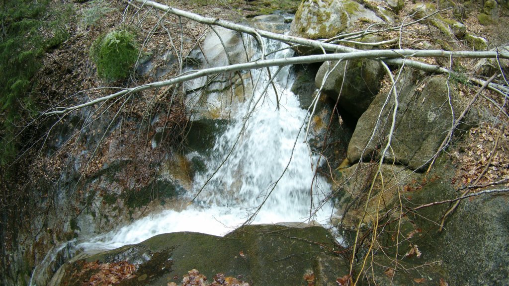 photo79.jpg