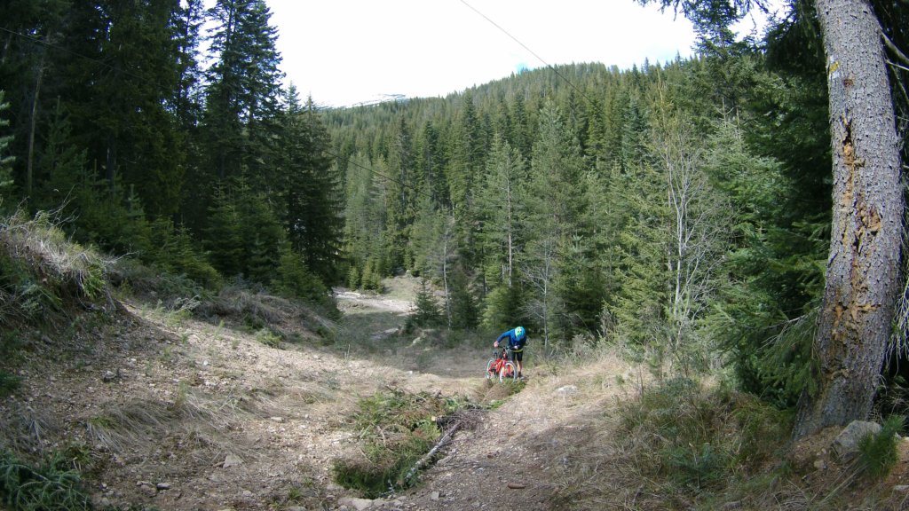 photo96.jpg