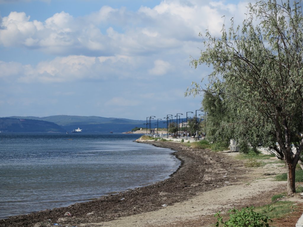 photo10.jpg