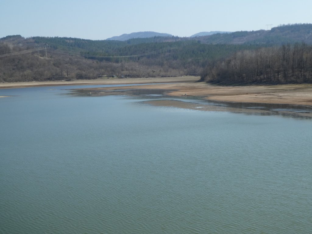 photo26.jpg
