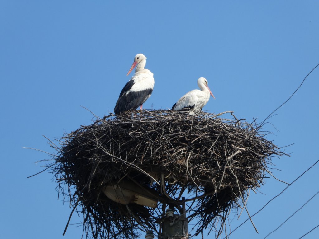 photo40.jpg