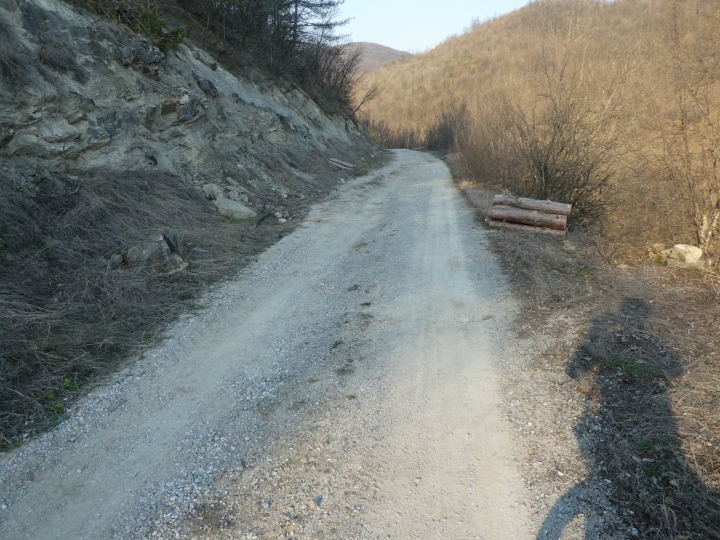 photo51.jpg