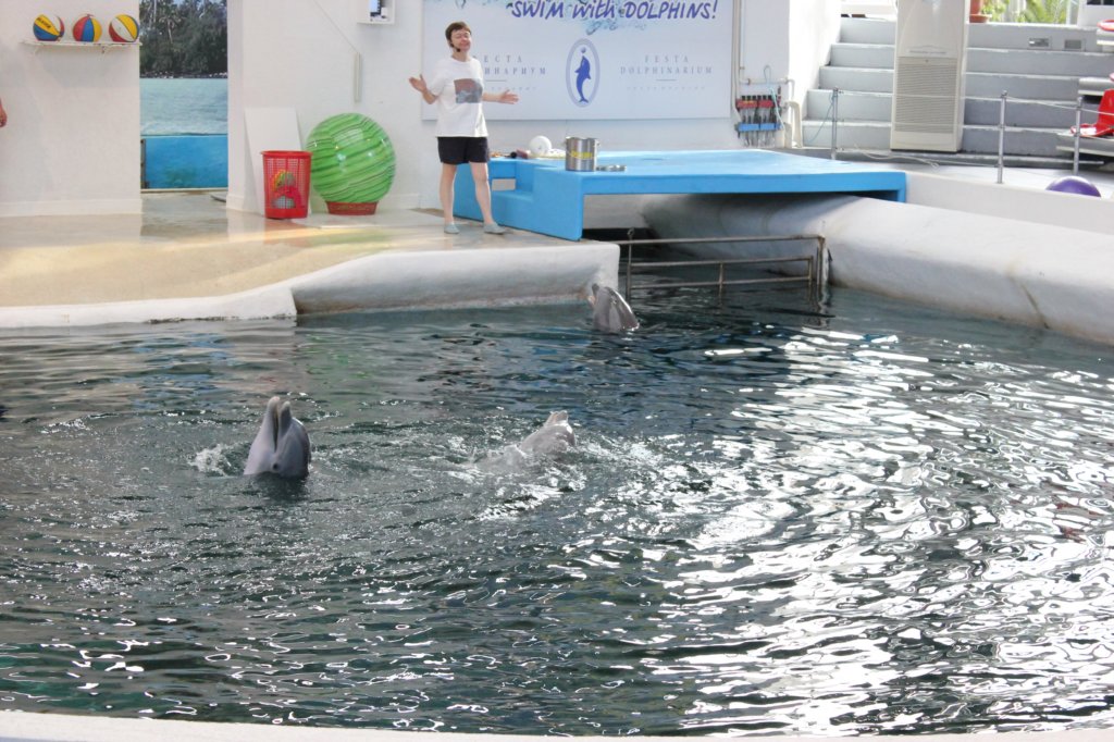photo16.jpg