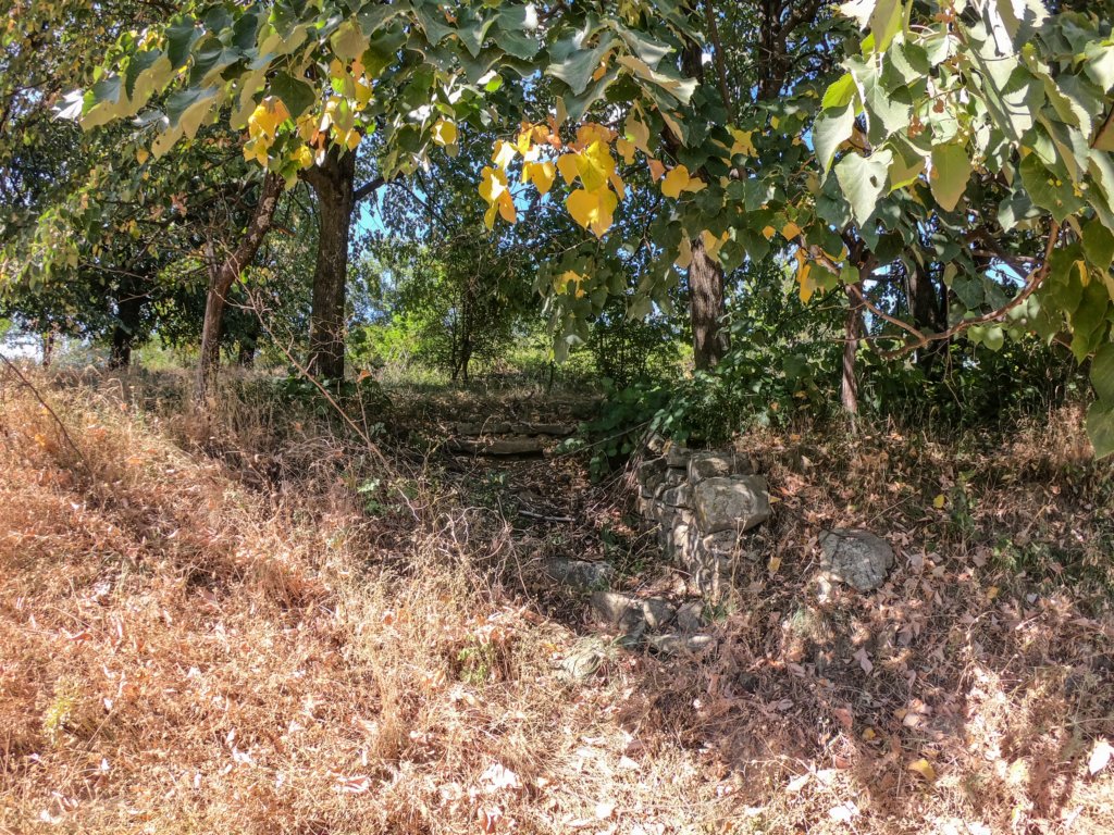 photo41.jpg