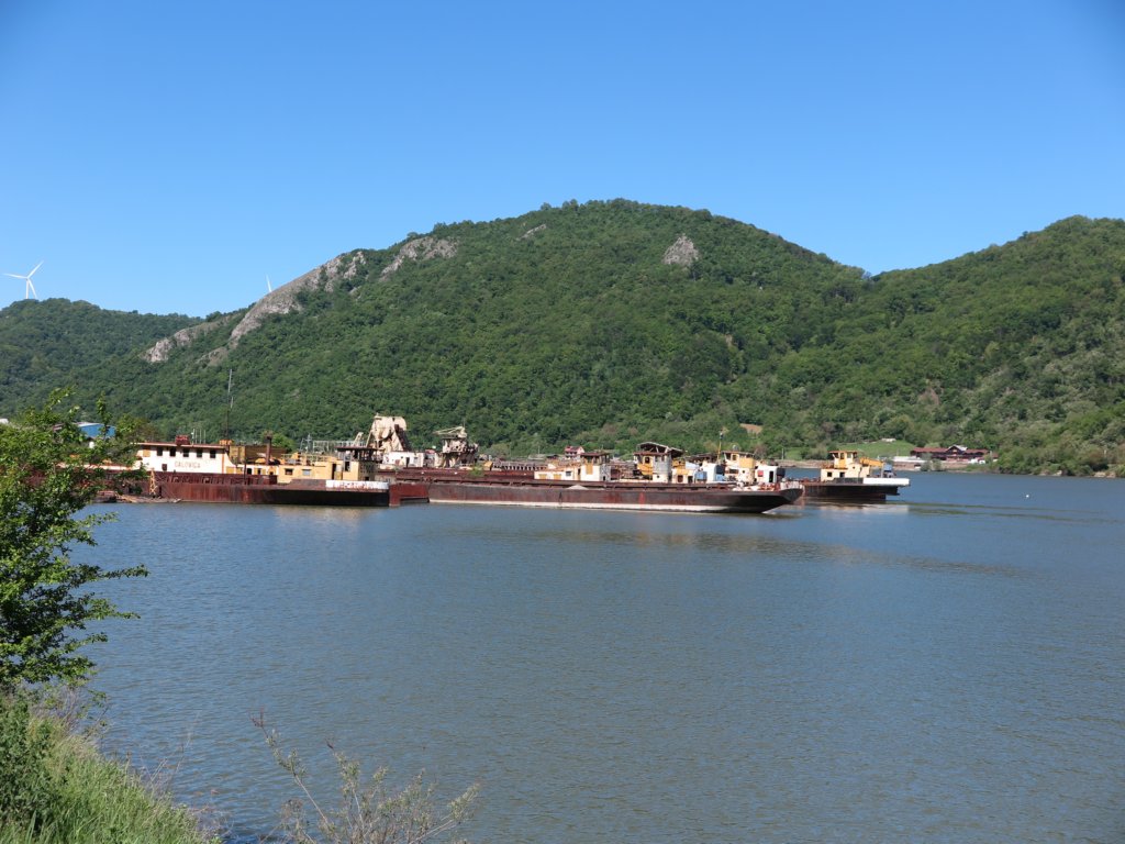 photo10.jpg