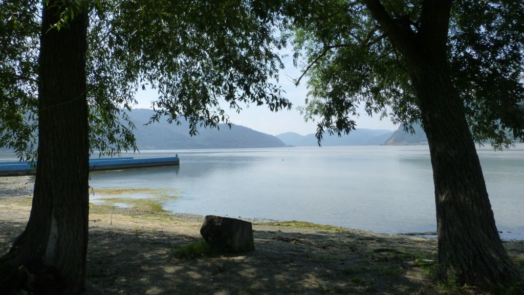 photo4.jpg