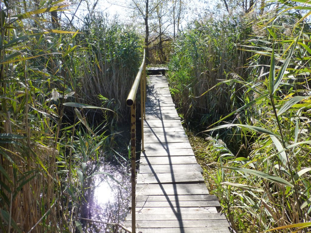 photo19.jpg