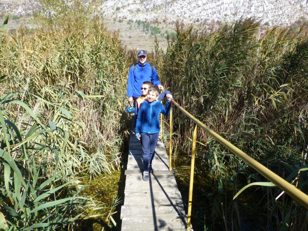 photo20.jpg