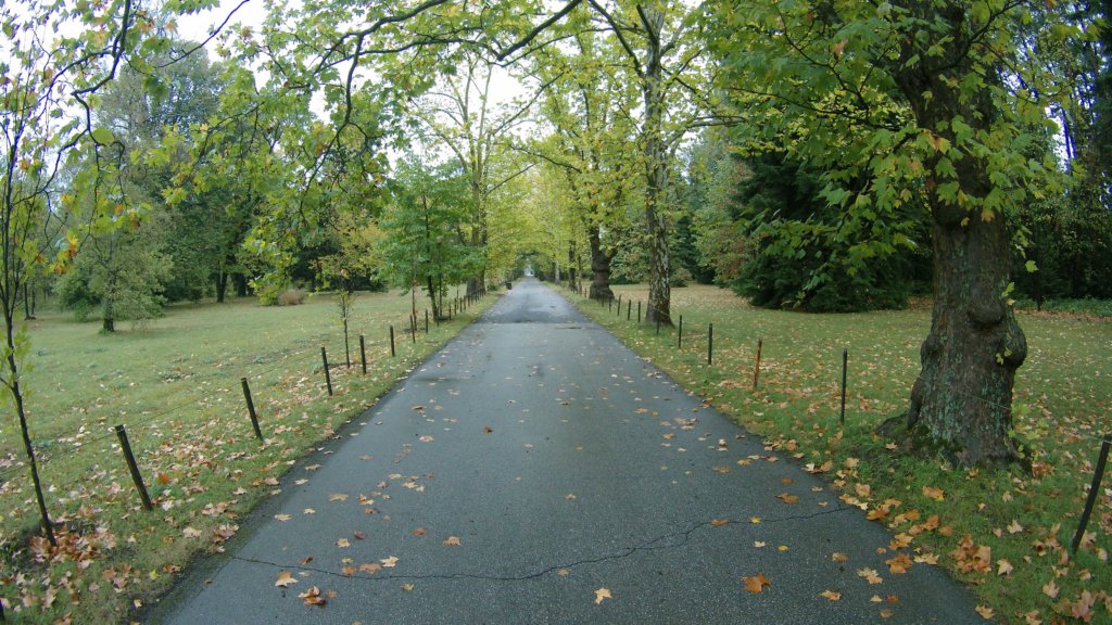 photo3.jpg