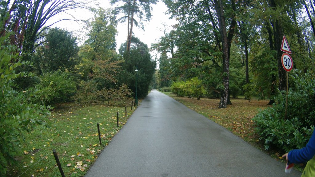 photo4.jpg