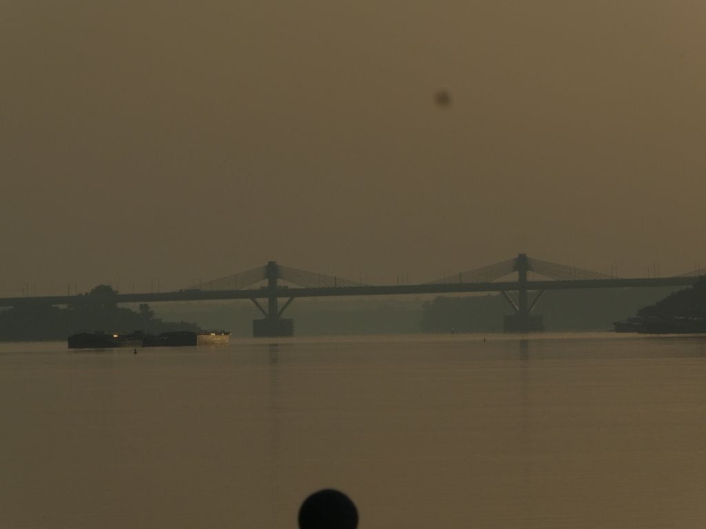 photo6.jpg