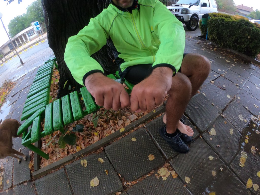 photo10.jpg
