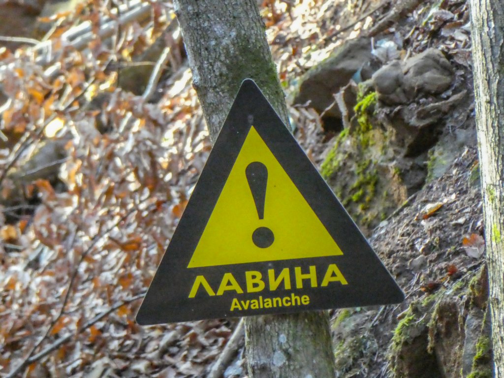 photo6.jpg