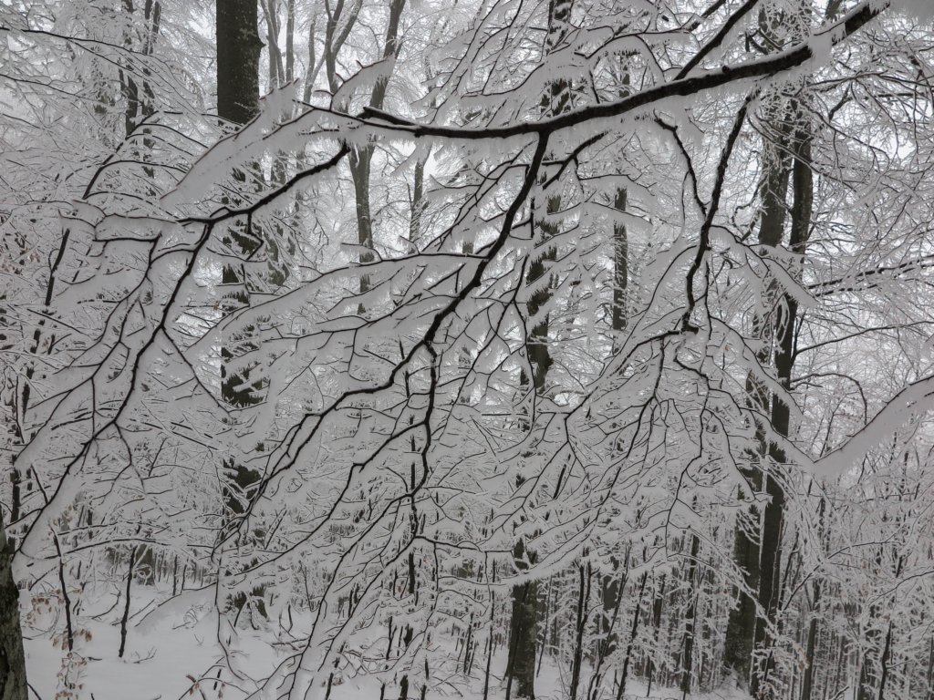 photo11.jpg