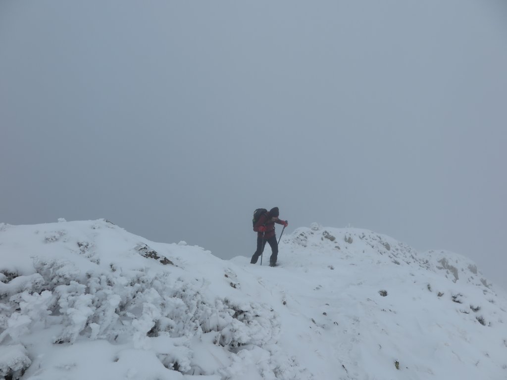 photo21.jpg