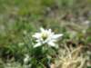 photo121_small.jpg