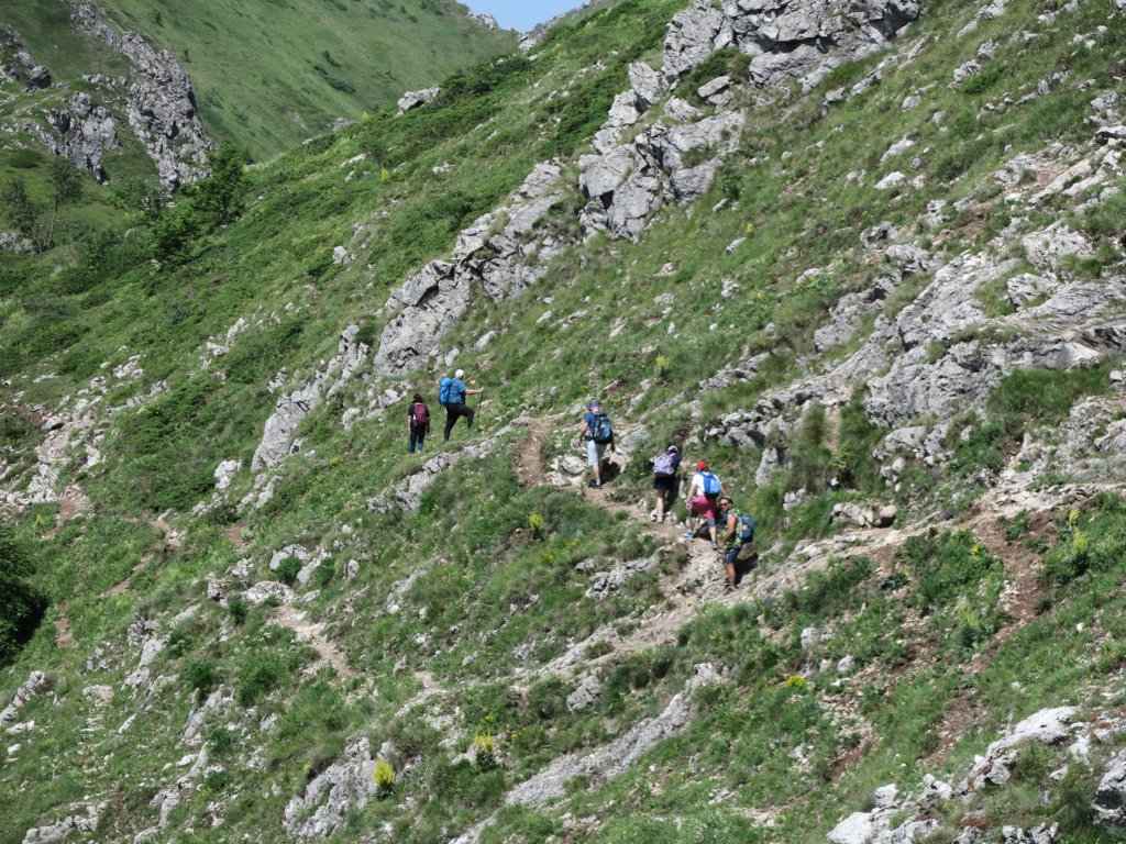 photo13.jpg