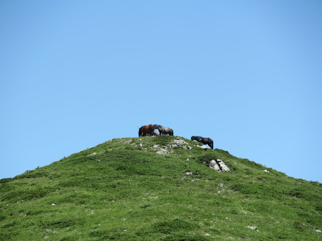photo16.jpg