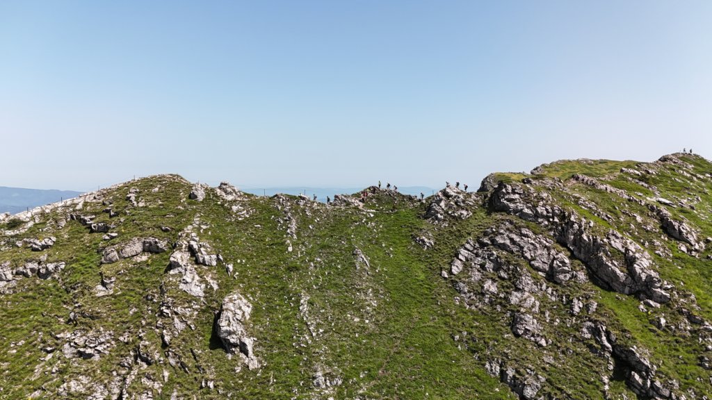 photo17.jpg